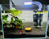 Set acquario completo di luce - filtro - arredi - fondo - acqua e betta a scelta