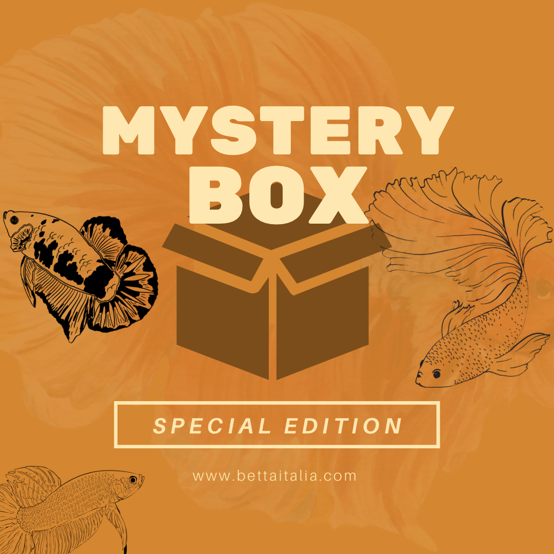 Mistery Box VIP