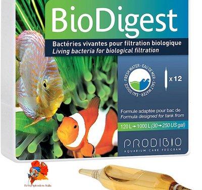 BioDigest Batteri vivi 12 fiale | Bio Digest Prodibio